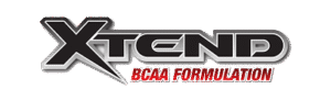 xtend-1-407x124